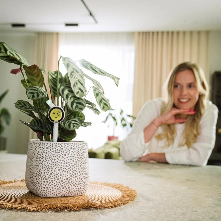 4-in-1 Smart Plant Care, Without the Guesswork
