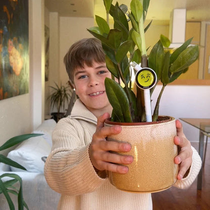 4-in-1 Smart Plant Care, Without the Guesswork
