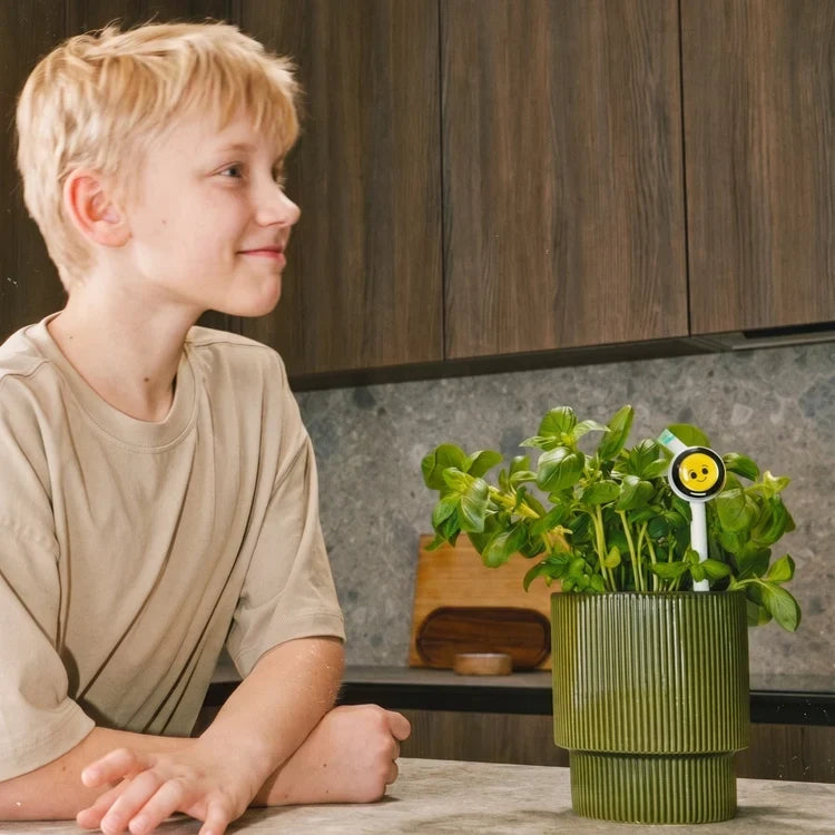 4-in-1 Smart Plant Care, Without the Guesswork